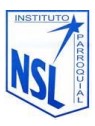 Logo Nsl