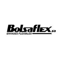 Logo Bolsa Flex